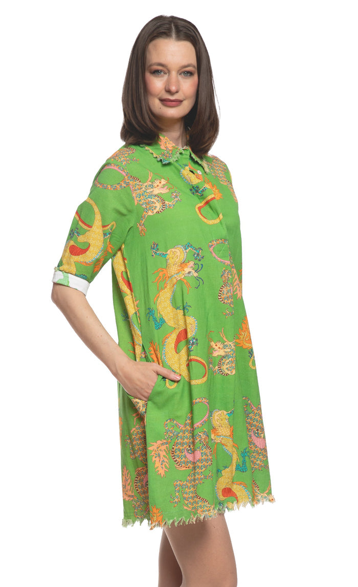 Dizzy-Lizzie Chatham Dress in Gekko Green Dragon Print available at Barbara Katz