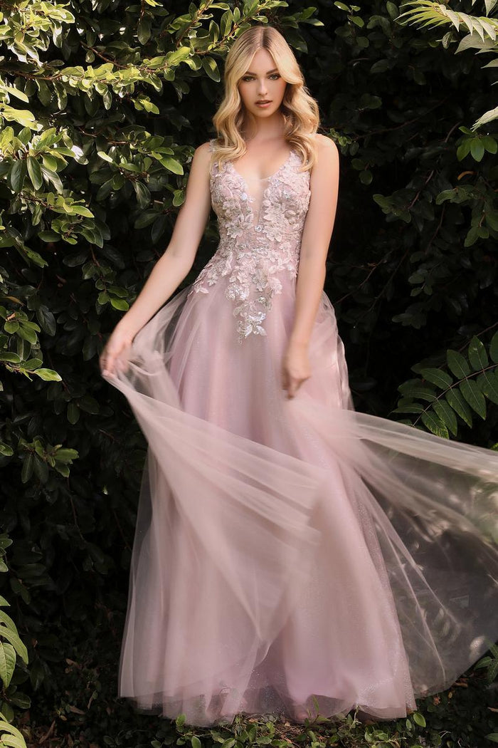Cinderella Divine Dress CDS409
