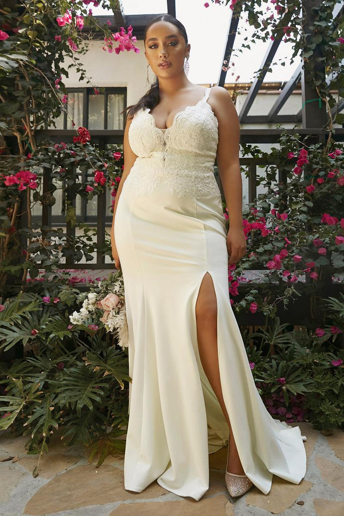 Cinderella Divine Dress CF319W