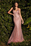 Cinderella Divine Dress CH235