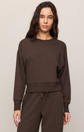 Z Supply Comeback Sweatshirt in Dark Chocolate available at Barbara Katz