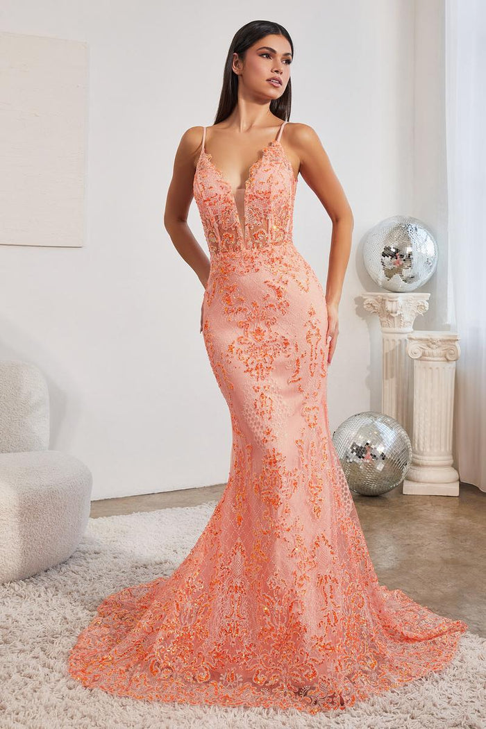 Ladivine Dress CC2189