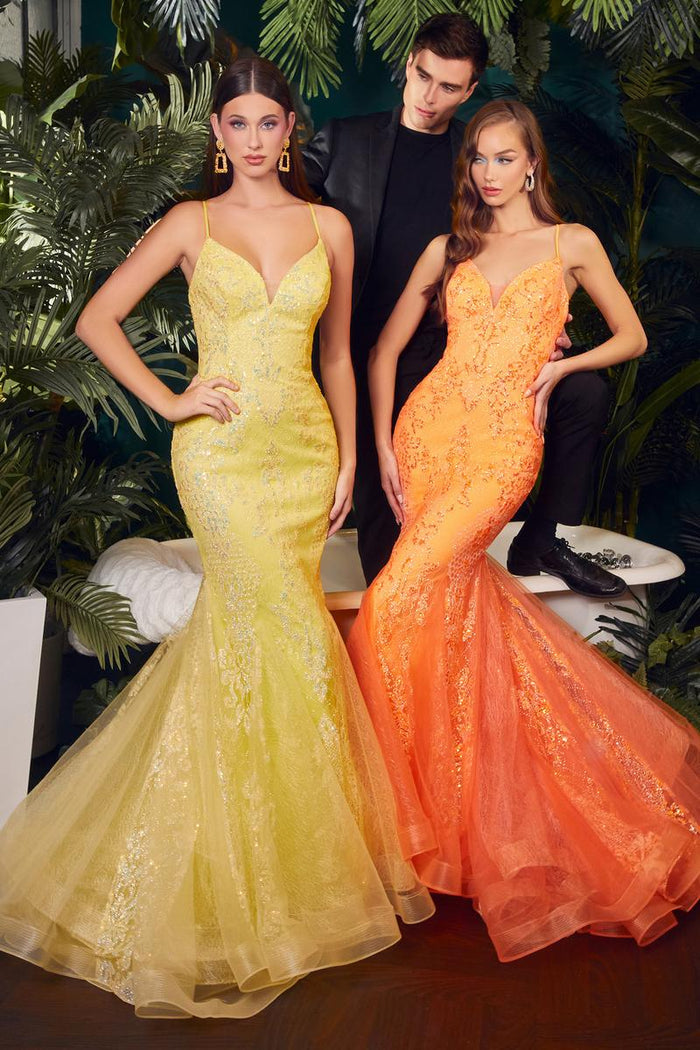 Ladivine Dress CC2279
