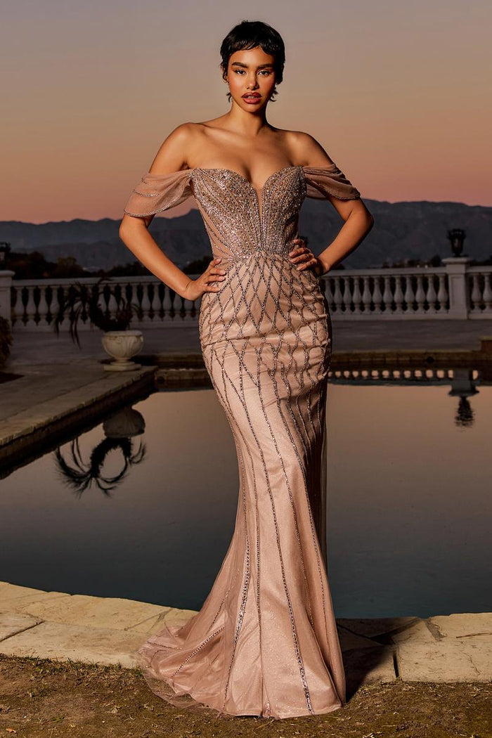 Ladivine Dress CC477