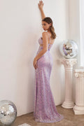 Ladivine Dress CD259