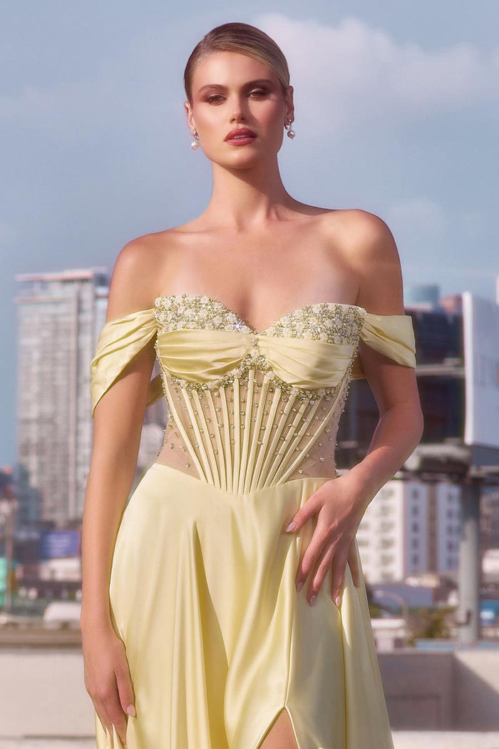 Ladivine Dress CD297
