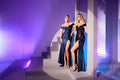 Ladivine Dress CD8295