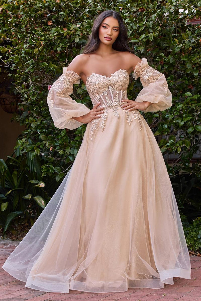 Ladivine Dress CD948