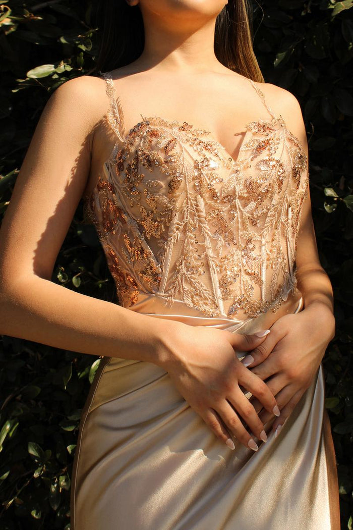 Ladivine Dress CDS412