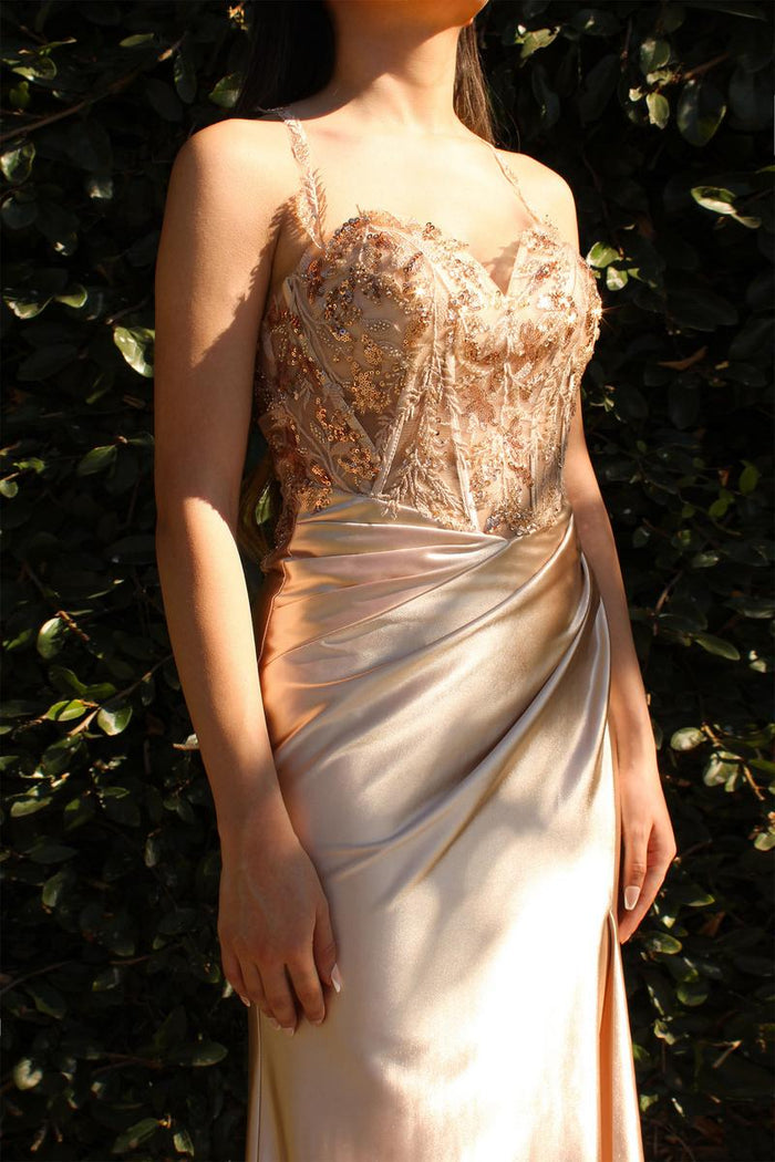 Ladivine Dress CDS412