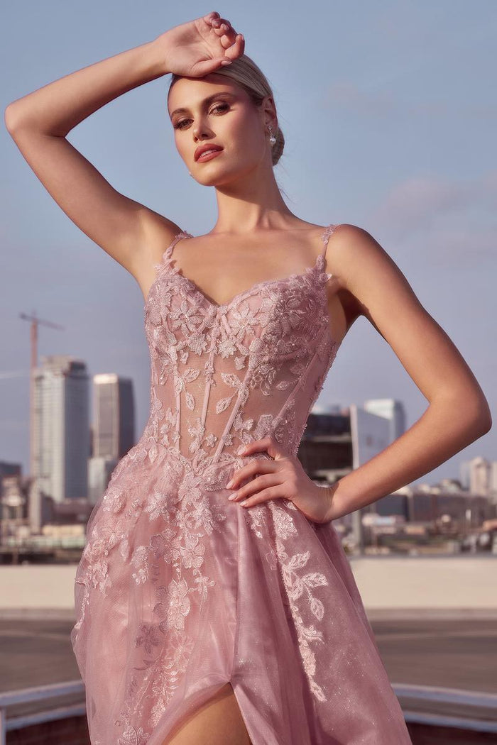 Ladivine Dress CDS533