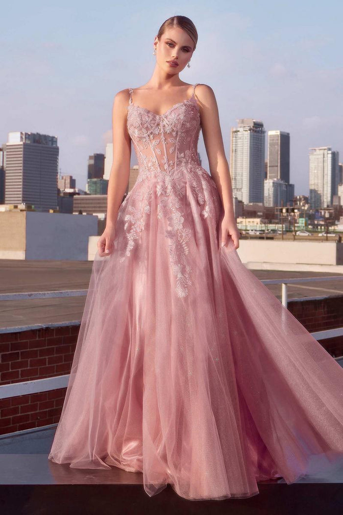 Ladivine Dress CDS533