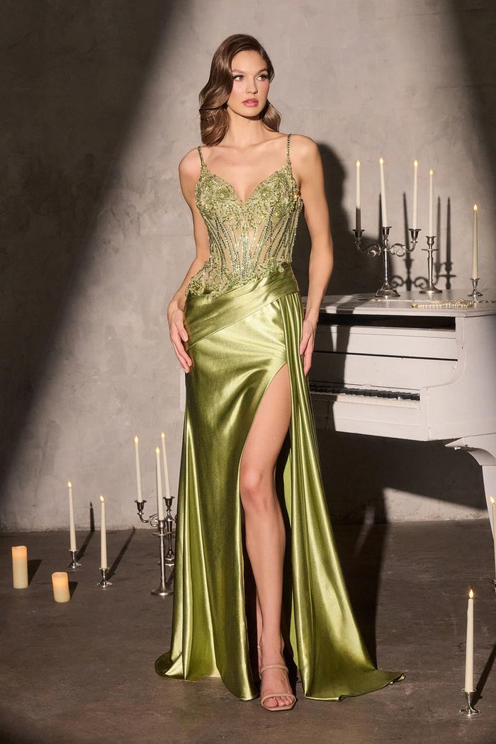 Ladivine Dress CDS556