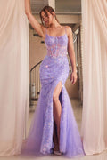 Ladivine Dress CR868
