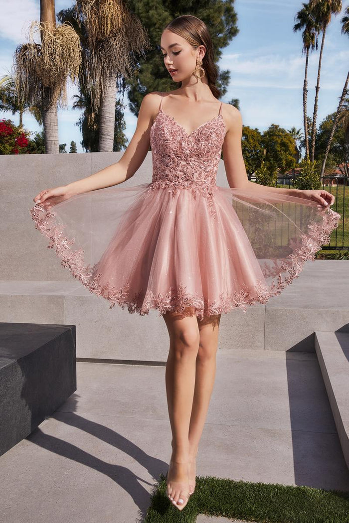 Ladivine Short Tulle Lace Dress CD0213