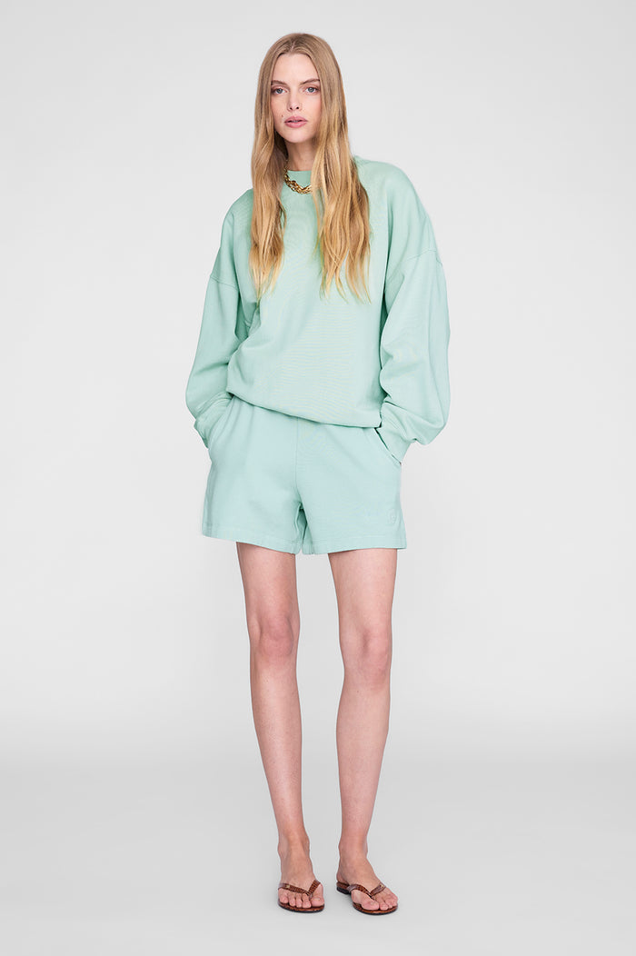ANINE BING Miles Sweatshirt - Washed Seafoam - on model front