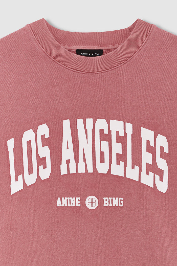 ANINE BING Miles Sweatshirt Los Angeles University - Earth Red - detail view