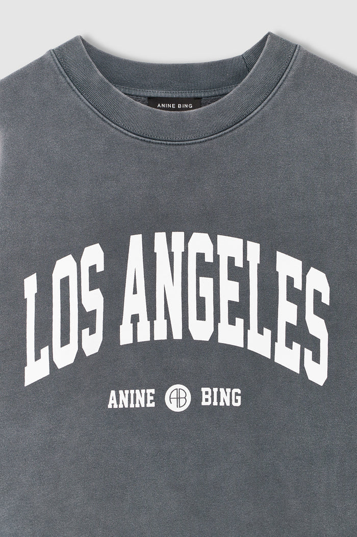 ANINE BING Miles Sweatshirt Los Angeles University - Washed Grey - detail view