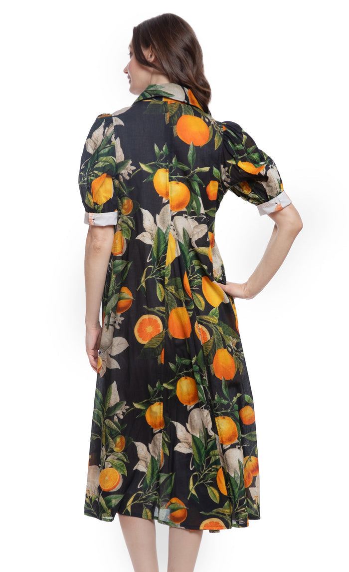 Dizzy-Lizzie Montauk Dress in Citrus Print available at Barbara Katz