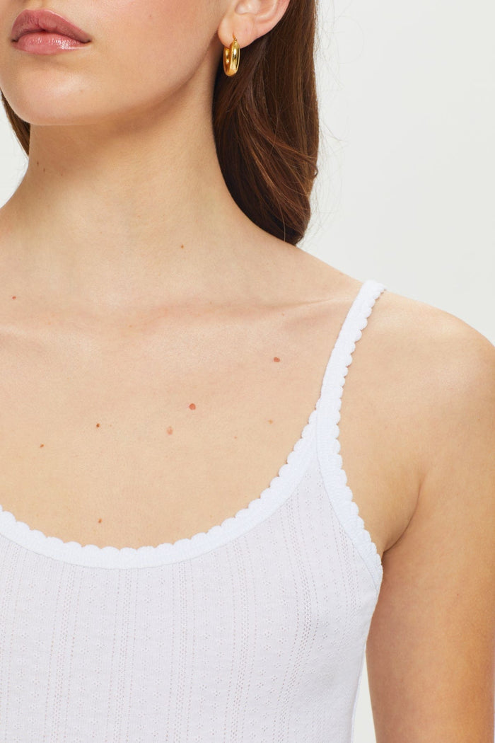 Goldie Pointelle Cami available at Barbara Katz