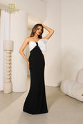 Terani Evenings Dress 251E4286